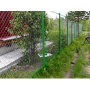 Забор из сетки-рабицы фото