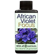 African Violet Focus 100мл