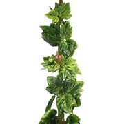 Лианы зеленые 2,5м. фото