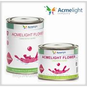 AcmeLight Flower 1л. фото