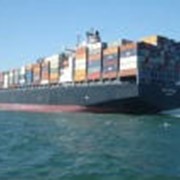 Морские перевозки сборных грузов контейнерами из Китая