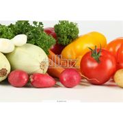 Семена овощных культур