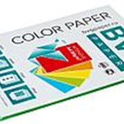 BVG Paper Бумага цветная BVG, А4, 80г, 50л/уп, зеленая, интенсив фотография