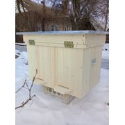 Улей 20-ти рамочный фото