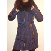 Женские зимние куртки фотография