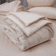 Одеяло теплое в египетском хлопке | «BIOLANA» | 200 x 220 см | Леди Прима фото
