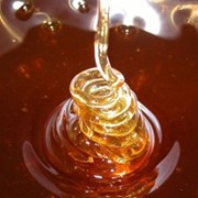 Гречишный мед фото