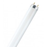 Лампа люминисцентная PHILIPS TL-D18W/54-765 лампа (604 мм)