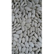 White Beans from kyrgyzystan (Белая фасоль Кыргызстан Киргизия на экспорт) фото