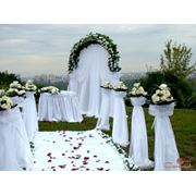 свадебные арки фото