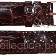 Ремешок для часов из кожи крокодила ALWS 01 Brown фото