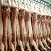 Мясо свинина полутуши охлажденное. 1, 2, 3 категория. Украинский производитель фото