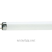 Лампа люминесцентная Philips TL-D G13 1200mm 36W/54-765 1SL/25 (928048505451) DDP, код 130034 фото