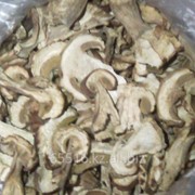 Сушеные грибы, Алтайский белый гриб. фотография