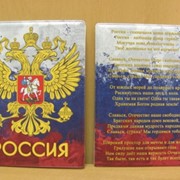 Обложка для паспорта Виды Санкт-Петербурга, арт. 11210/2