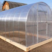 Теплица Рязаночка 3*2.5м цинк, длина 6000 мм, поликарбонат 4 мм, 6 лет заводской гарантии фото