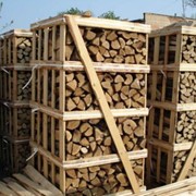 Закупка древесных заготовок