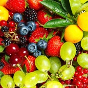 Оптовая торговля фруктами, овощами, ягодами