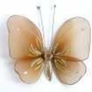 Бабочка средняя капучино 19*13 см фото