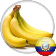 Импорт бананов с Эквадора фотография