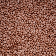 Мастербатч коричневый ( POLYCOLOR BROWN 04028)