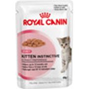 Влажный корм для котят Royal Canin Feline Health Nutrition Kitten Instinctive фото