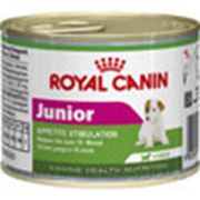 Влажный корм для щенков Royal Canin Canine Health Nutrition Junior фото