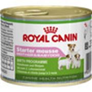 Влажный корм для щенков и беременных собак Royal Canin Canine Health Nutrition Starter Mousse фото
