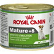 Влажный корм для стареющих собак Royal Canin Canine Health Nutrition Mature +8 фото