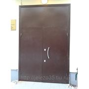 Дверь входная металлическая фото