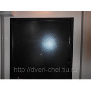 Металлическая дверь Стандарт2 фото