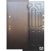 Дверь входная металлическая Арго-1