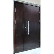 Двери металлические входные с дополнительной секцией. фото