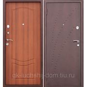 Входная металлическая дверь “SALUT“ фотография