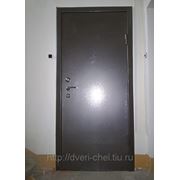 Металлическая дверь Элит2 фото