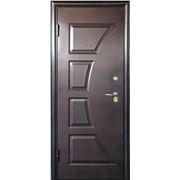 Дверь металлическая Airon, модель Диана фото