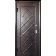 Дверь металлическая Airon, модель Кармен фото