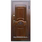 Дверь металлическая М282 фото