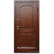 Дверь металлическая М288 фото