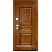 Дверь металлическая М382 фото