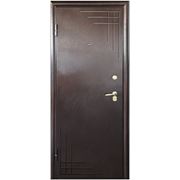 Дверь металлическая Airon, модель Милена фото