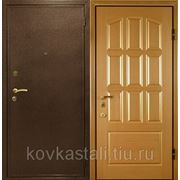 Двери Порошок с бронеполосой + Филенчатый МДФ фотография