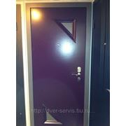 Металлические двери для частного дома фото