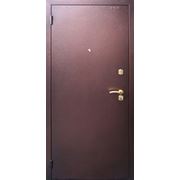 Дверь входная металлическая Стандарт Аргус