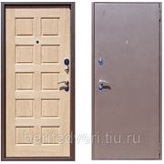 Входная металлическая дверь - Троя Аргентум Карпатская Ель фото