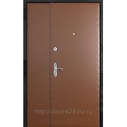 Тамбурные двери металлические фотография
