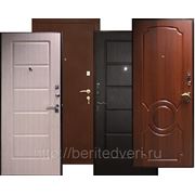 Входная металлическая дверь Юг-03 фото