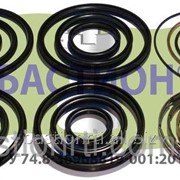 Ремкомплект Гидроцилиндра подъёма кузова КАМАЗ 45142 ЕВРО (6-ти штоковый) фото