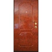 Элитная металлическая дверь “Елена“ фото
