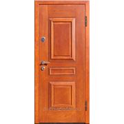 Стальная дверь Монте Белло модель “M 382“ фотография